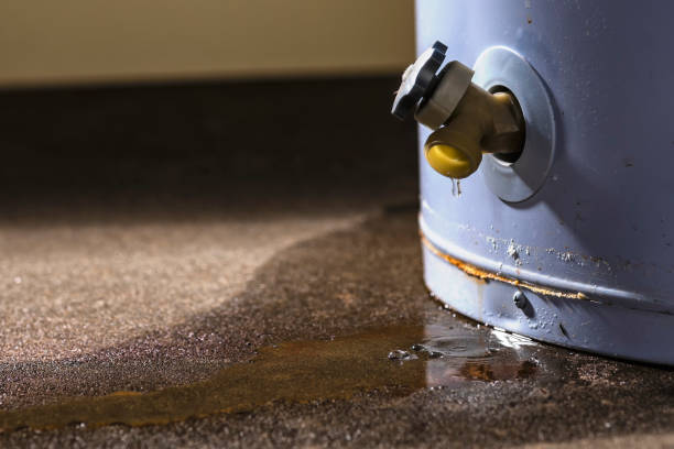 Best Mold removal after water damage  in Little Flock, AR