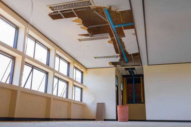 Best Residential water damage restoration  in Little Flock, AR
