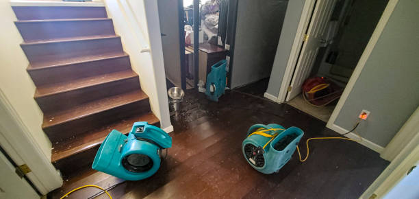 Best Ceiling water damage repair  in Little Flock, AR