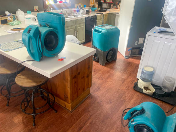 Best Water damage contractors near me  in Little Flock, AR
