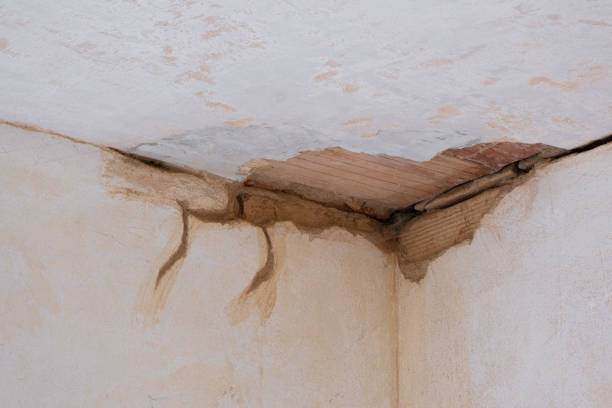 Best Water damage restoration near me  in Little Flock, AR