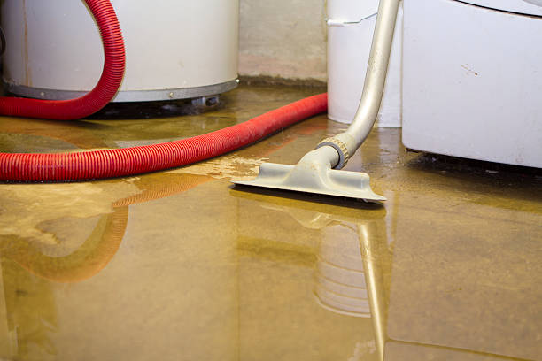 Best Basement water damage restoration  in Little Flock, AR