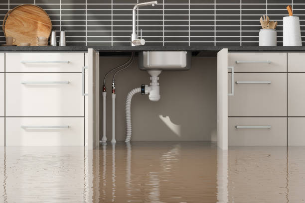 Best Commercial water damage restoration  in Little Flock, AR