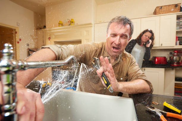 Best Basement water damage restoration  in Little Flock, AR